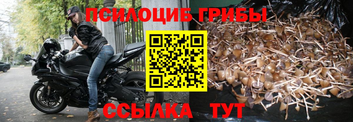 Псилоцибиновые грибы Psilocybine cubensis Туймазы